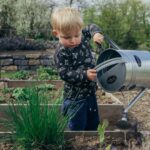 Gardening - boy in black and white long sleeve shirt standing beside gray metal watering can during daytime