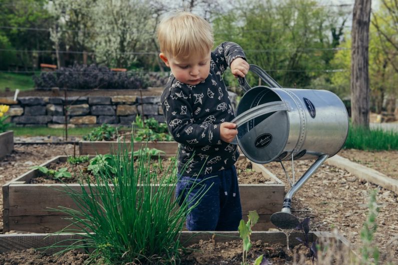 Gardening - boy in black and white long sleeve shirt standing beside gray metal watering can during daytime