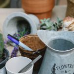 Gardening Supplies - From above of potted plants placed on wooden table with watering can near cactus and gloves near scissors in botanical garden