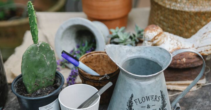 Gardening Supplies - From above of potted plants placed on wooden table with watering can near cactus and gloves near scissors in botanical garden