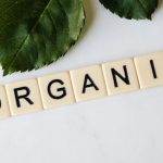 Organic Food - Green Leaves and Organic Word