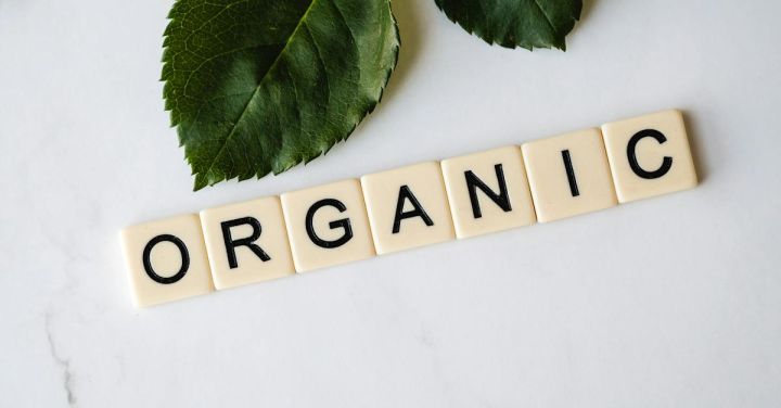 Organic Food - Green Leaves and Organic Word